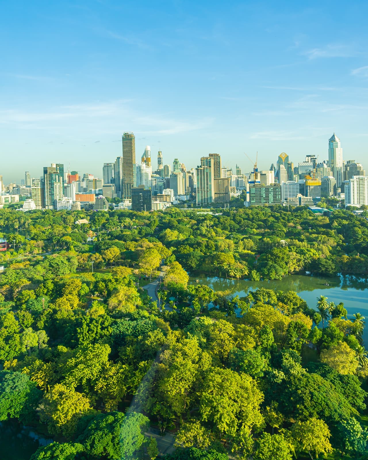 Aerial view over Lumphini Park in Bangkok: dense green tree canopy in the foreground, the city's high-rise skyline behind it under a clear morning sky.